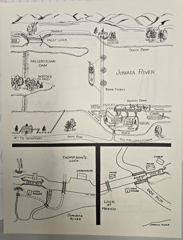 Dockside Revelations